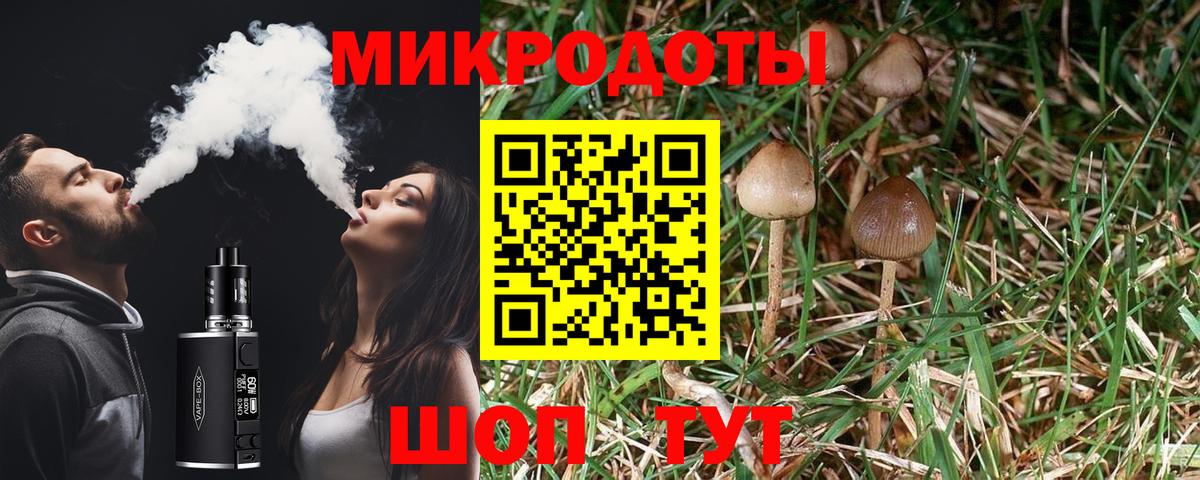 Галлюциногенные грибы Magic Shrooms  Вход с VPN  Канаш 