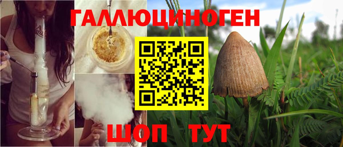 Галлюциногенные грибы Magic Shrooms Канаш